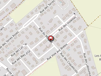 Carte de Czekanski Kareen à Lavau