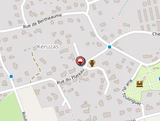 Carte de Flan Annick à Plougonvelin