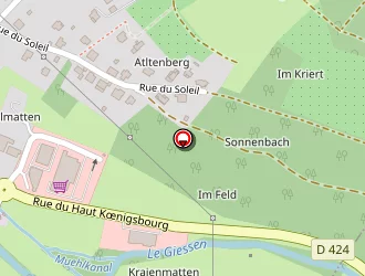 Carte de Buono Victor à Villé