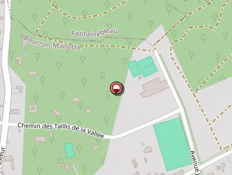 Carte de Salgado Jorgé à Bourron-marlotte