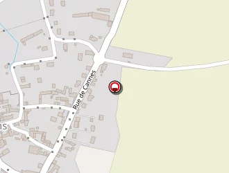 Carte de Carpinteiro Carlos à Esmans