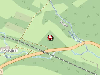 Carte de Turlupain à Saales