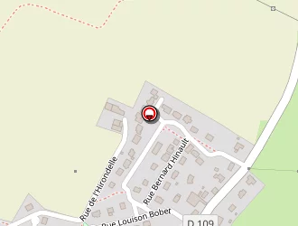 Carte de Ferron Sylvie à Chapelle-janson (la)