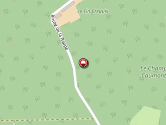 Carte de Paradis Eric à Saint-remy