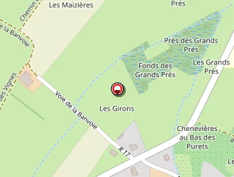 Carte de Ecole Primaire à Savigny