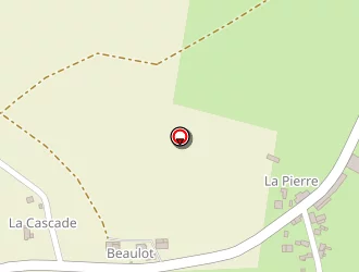 Carte de Geslin Patrick à Chapelle-janson (la)