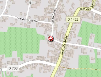 Carte de Gruneisen Gérard à Epfig