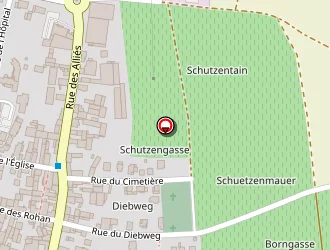 Carte de Arthur Metz à Epfig