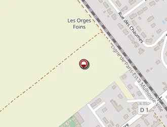 Carte de Richard Michel à Saint-lyé