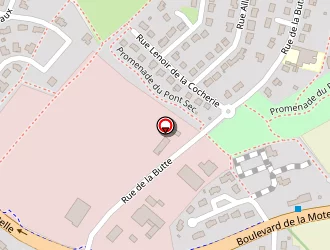 Carte de Pillet Thierry à Lécousse