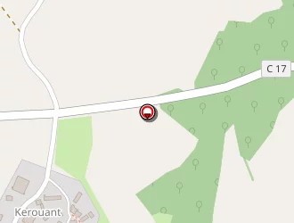 Carte de Salaun Alexis à Dirinon