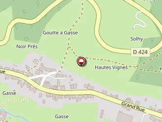 Carte de Eco Diag 67 à Steige