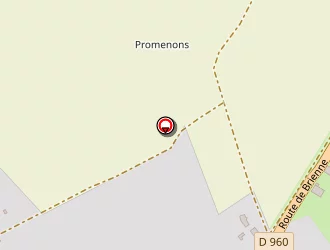 Carte de Secret De Beauté à Piney