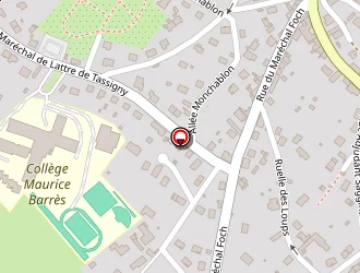 Carte de Société Energie Electrique à Charmes