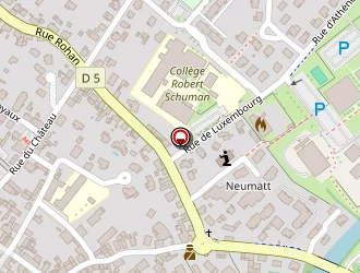 Carte de Ramseyer Jean-michel à Benfeld