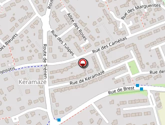 Carte de Besson Damien à Plouzané