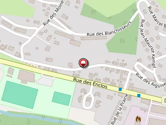 Carte de Vasseur Mickael à Moyenmoutier