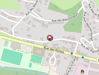 Carte de Itup Keep à Moyenmoutier