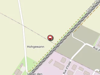 Carte de Quality Car à Benfeld