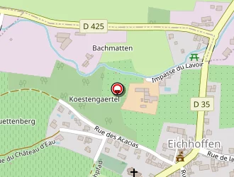 Carte de Lavigne (earl) à Eichhoffen