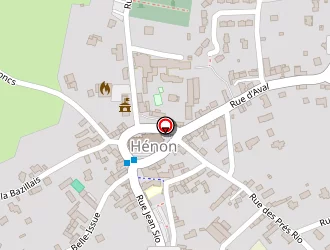 Carte de Cazalis Patrick à Hénon