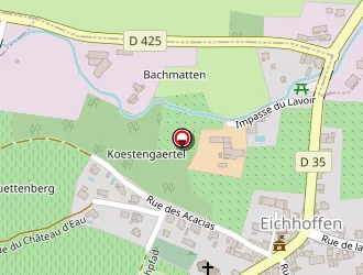 Carte de Engel Georges à Eichhoffen