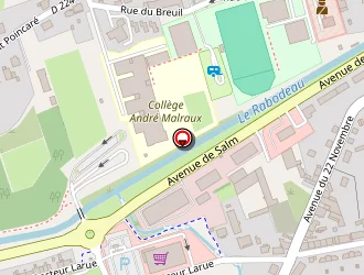 Carte de Vf Services + à Senones