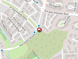 Carte de Breizh Peintures à Brest