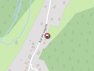 Carte de Ecole Primaire à Moyenmoutier