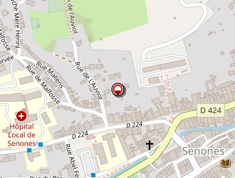 Carte de Ecole Primaire De Garçons à Senones