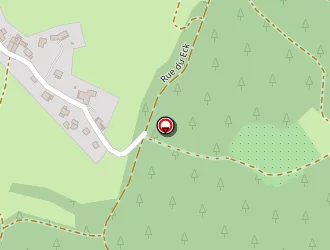 Carte de L'instant à Hohwald (le)