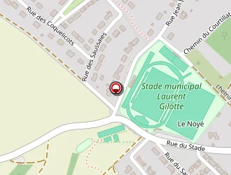 Carte de Stade à Marigny-le-châtel