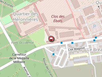 Carte de Novoro David à Fontainebleau