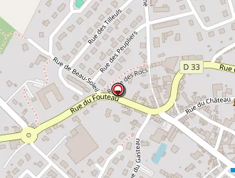 Carte de Bourré Joël à Ambrières-les-vallées