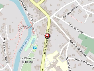 Carte de Pasini à Raon-l'étape