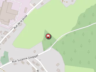 Carte de Lecomte Patrick à Petite-raon (la)