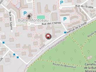 Carte de Stephan Georges à Avon