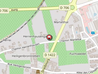 Carte de G Zeyssolff à Gertwiller