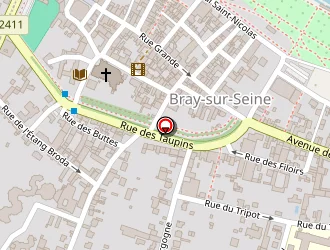 Carte de Poly-graphic à Bray-sur-seine