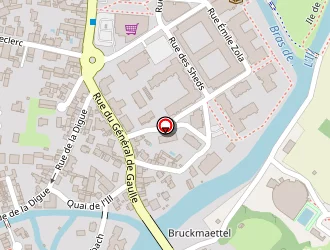 Carte de Demoulin Grégory à Erstein