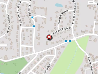 Carte de Btm à Arçonnay