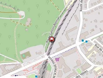 Carte de Massiani Rafaël à Avon