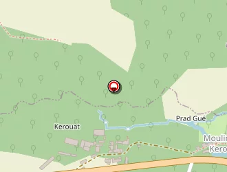 Carte de Berder Mickaël à Sizun