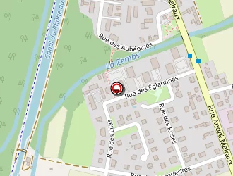 Carte de Burkhard Denis à Erstein