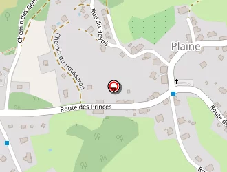 Carte de Carrière De Grès De Champenay à Plaine