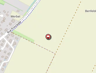 Carte de Muller Dominique (earl) à Bolsenheim