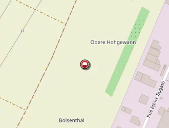 Carte de Trucks Vallée à Erstein