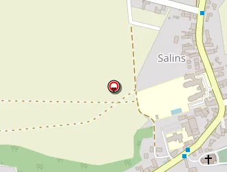 Carte de Ecole Publique à Salins