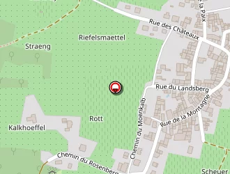 Carte de Goepp Gérard (earl) à Heiligenstein