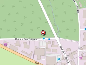 Carte de Auto Controle Fs 77 à Samoreau